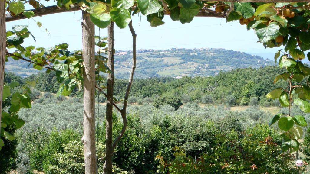 Podere Riparbella Massa Marittima Exteriér fotografie