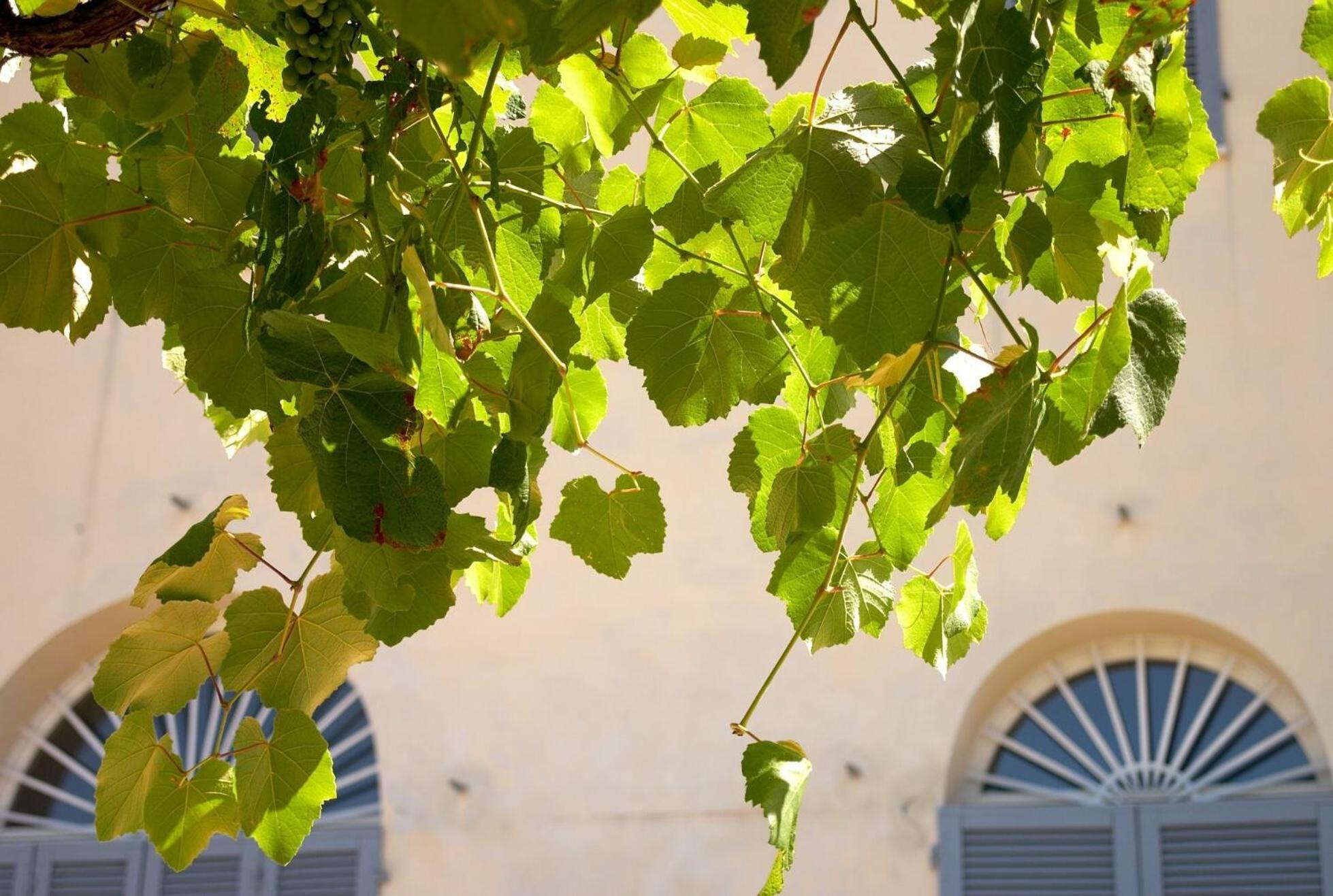 Podere Riparbella Massa Marittima Exteriér fotografie