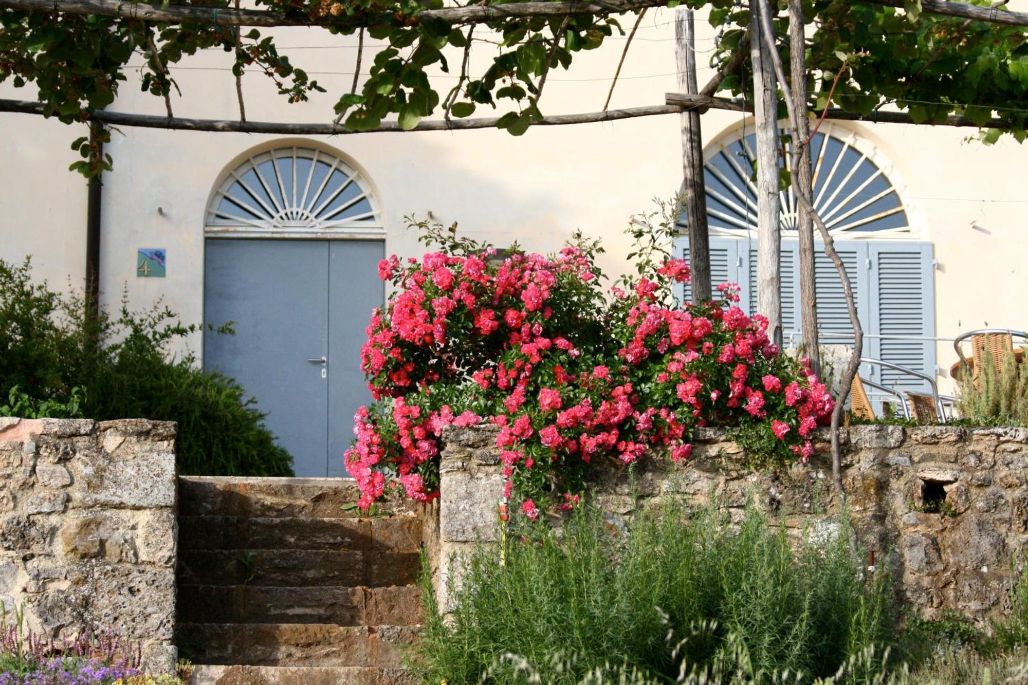 Podere Riparbella Massa Marittima Exteriér fotografie
